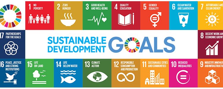 The Sustainable Development Goals and Election Management