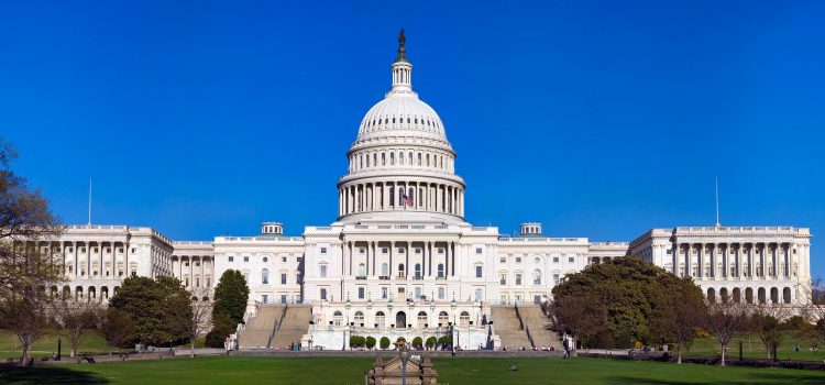 US Elections - Capitol voting